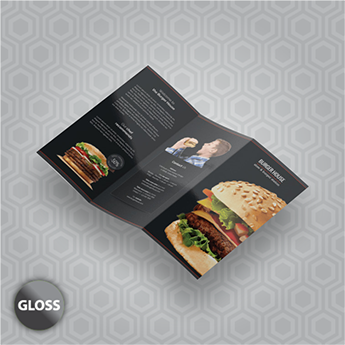 Brochures 100LB Gloss Text