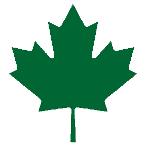 Design and Production Fees