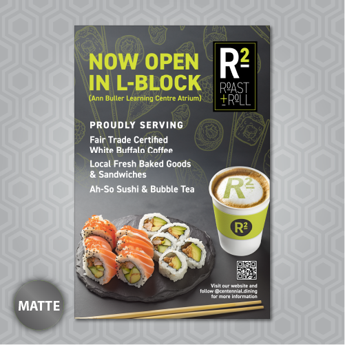 Posters 100LB + Matte Finish