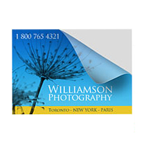 Square Cut Labels / Stickers